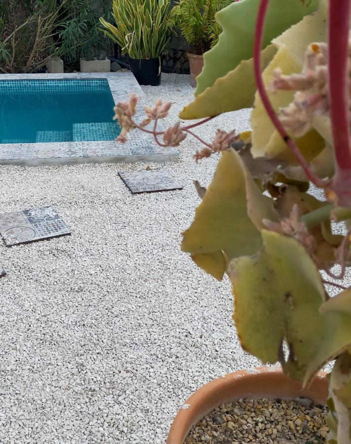 Casa Eline De Lujo Casco Antiguo Altea Piscina Privada Y Jardin Villa Exterior foto